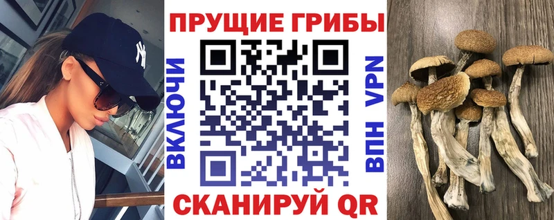 Галлюциногенные грибы ЛСД  наркотики  Черняховск 